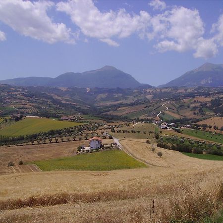 Agriturismo Il Vecchio Carro 캄플리 외부 사진