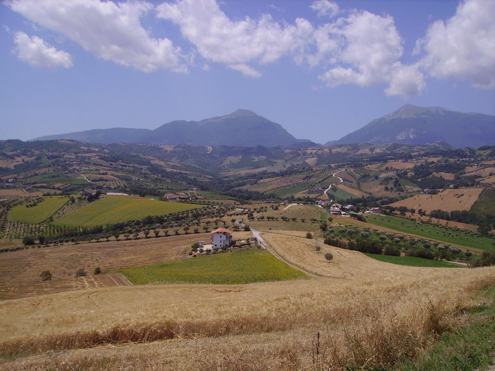 Agriturismo Il Vecchio Carro 캄플리 외부 사진