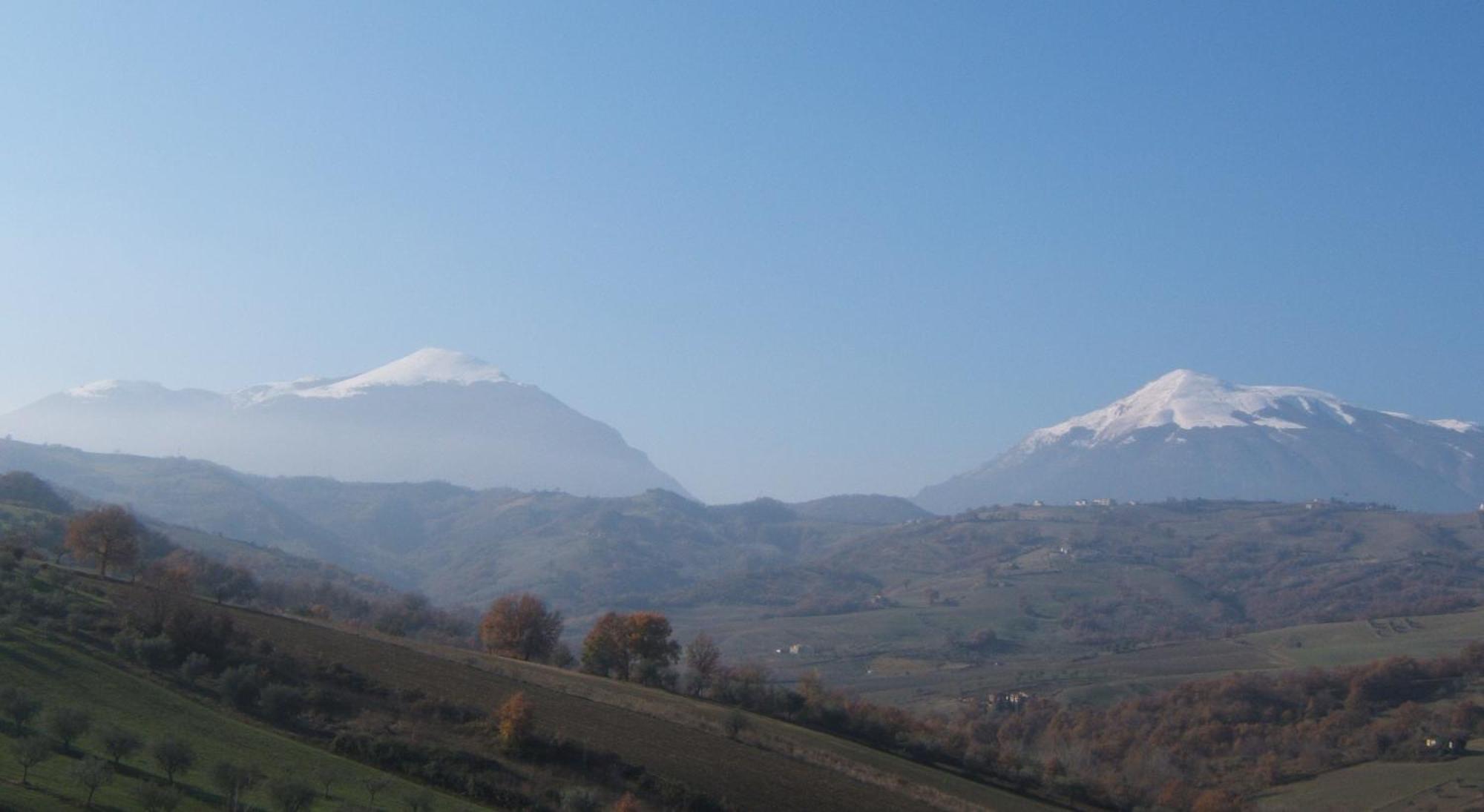 Agriturismo Il Vecchio Carro 캄플리 외부 사진
