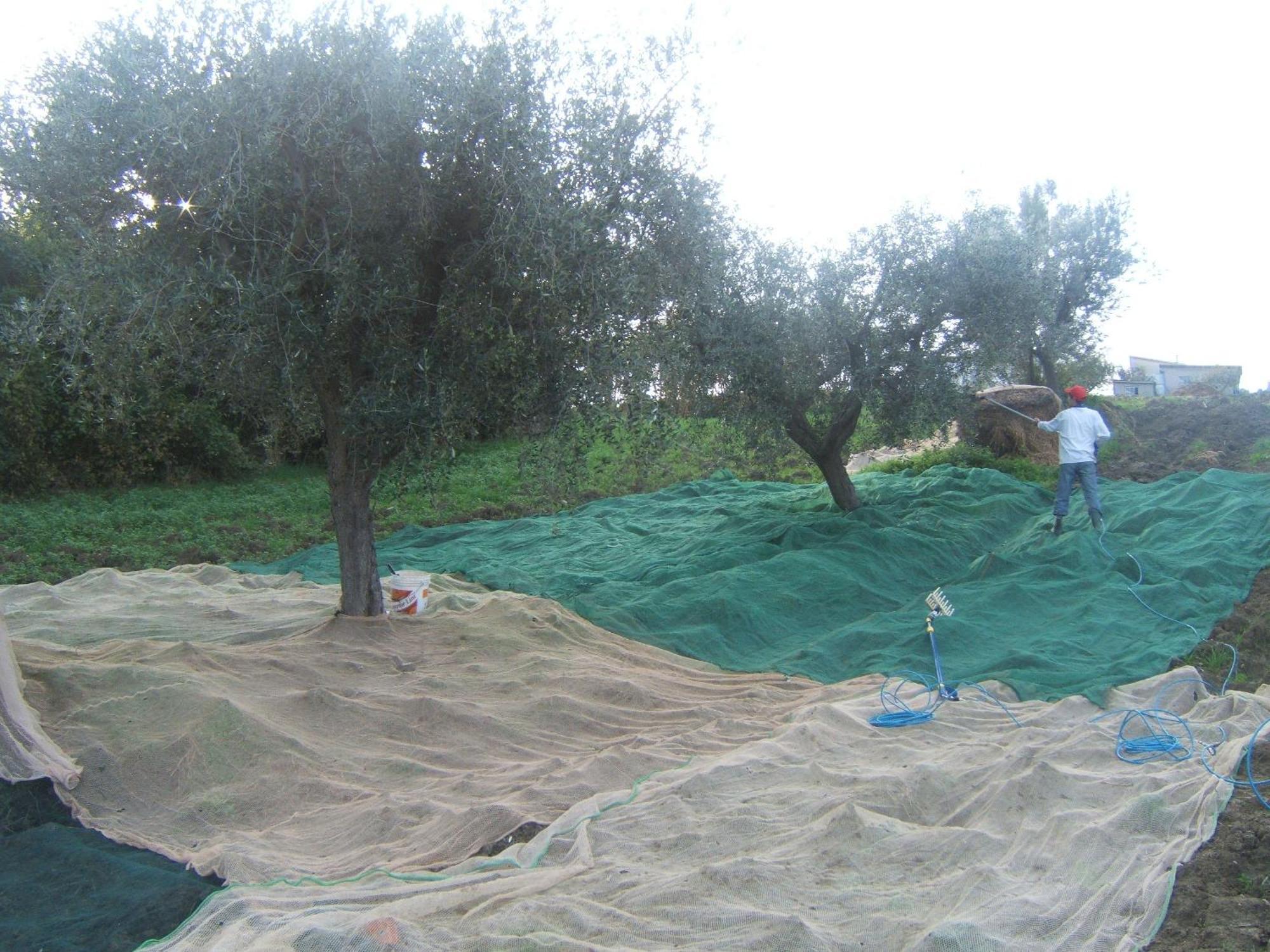 Agriturismo Il Vecchio Carro 캄플리 외부 사진