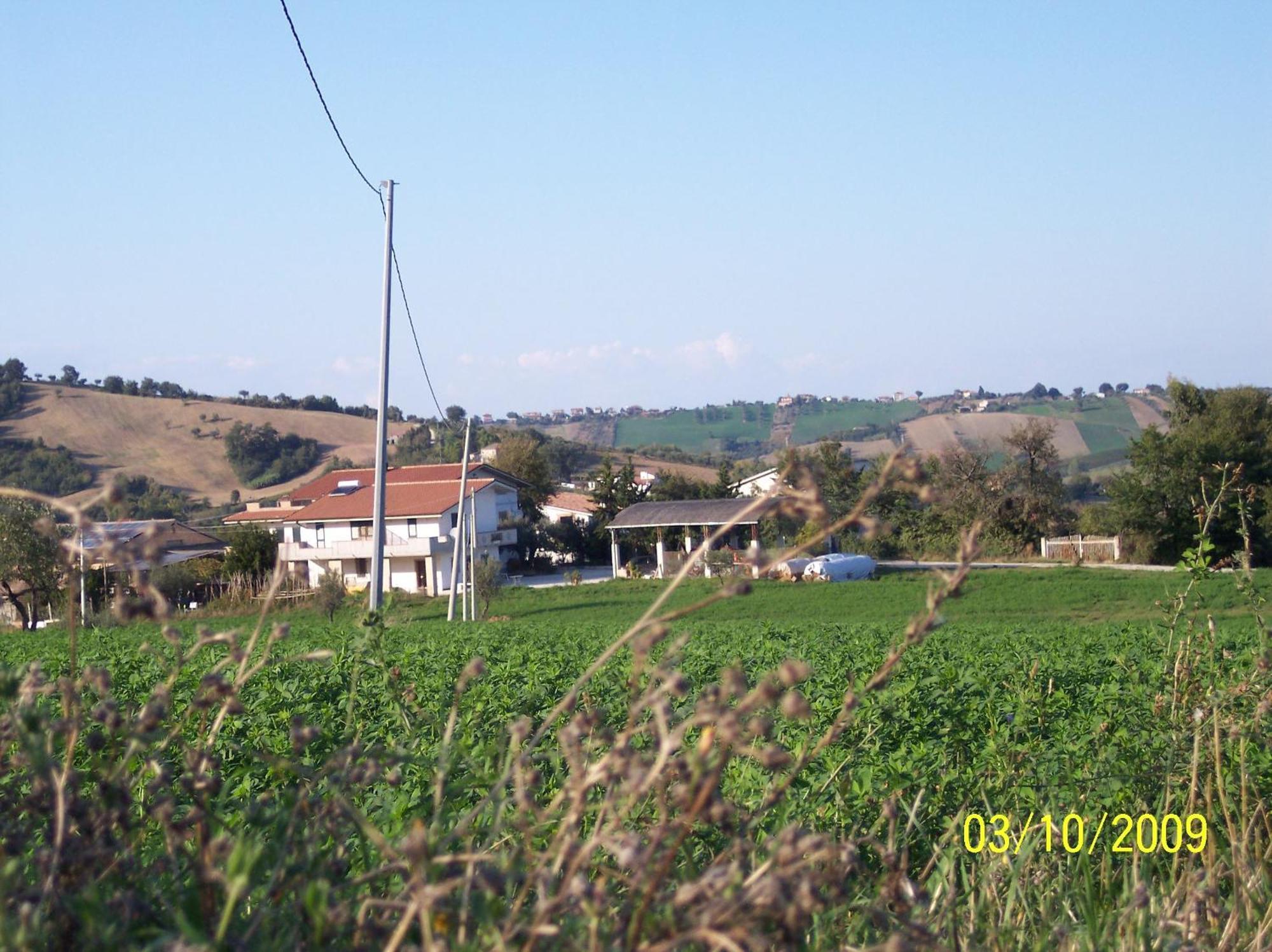 Agriturismo Il Vecchio Carro 캄플리 외부 사진