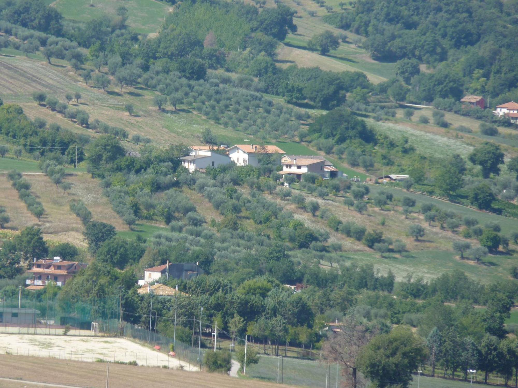 Agriturismo Il Vecchio Carro 캄플리 외부 사진