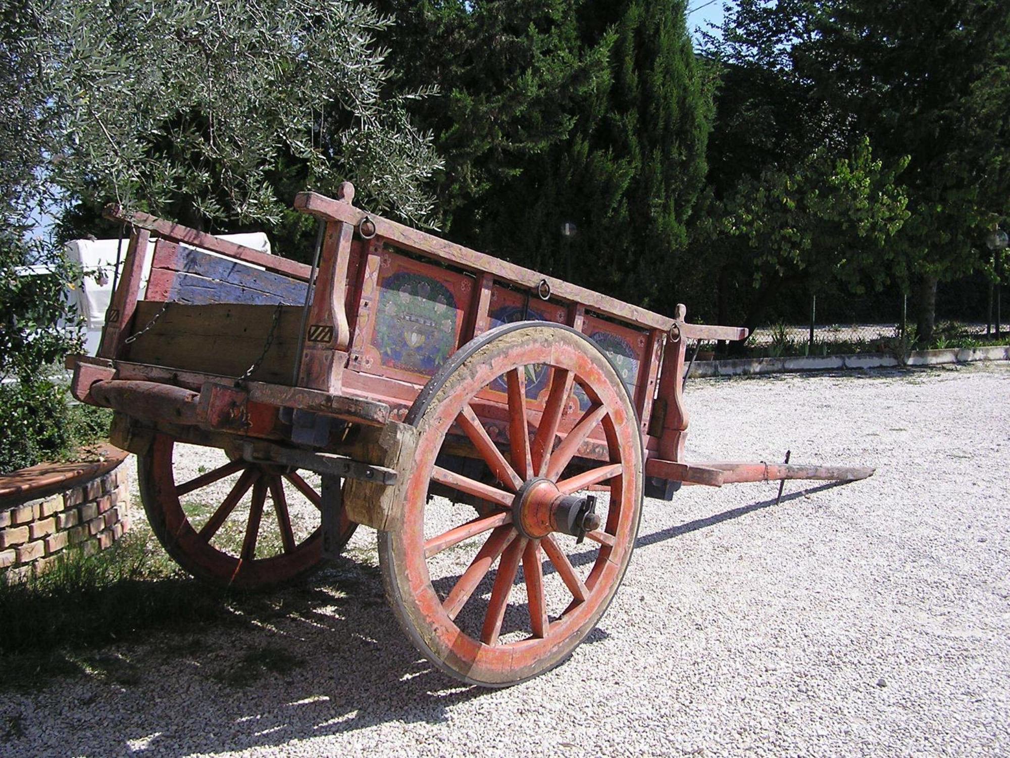 Agriturismo Il Vecchio Carro 캄플리 외부 사진