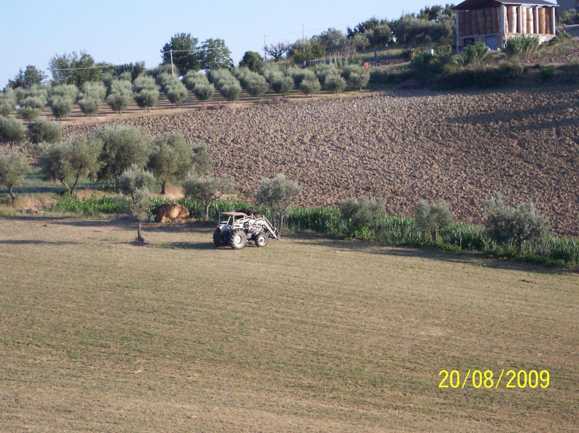 Agriturismo Il Vecchio Carro 캄플리 외부 사진